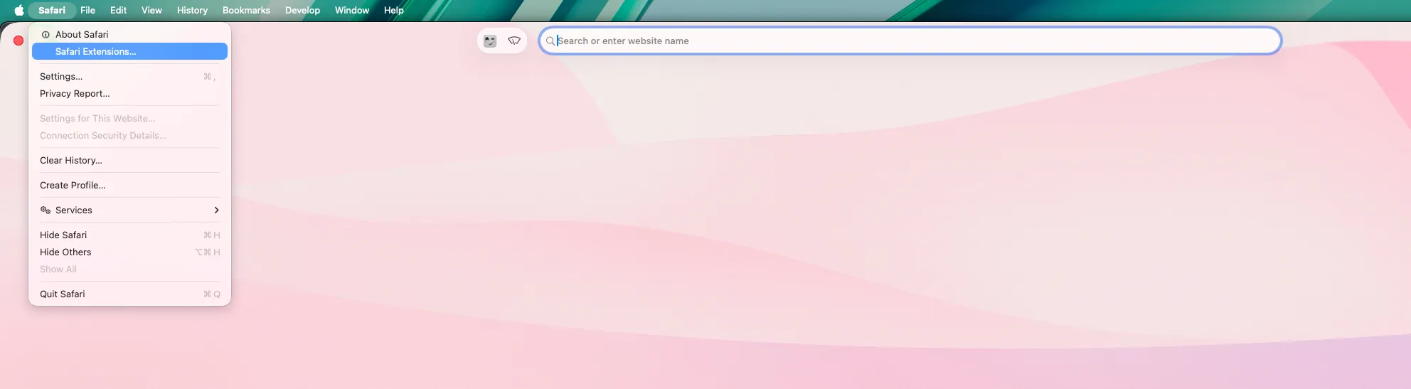 safari player setting up the extension